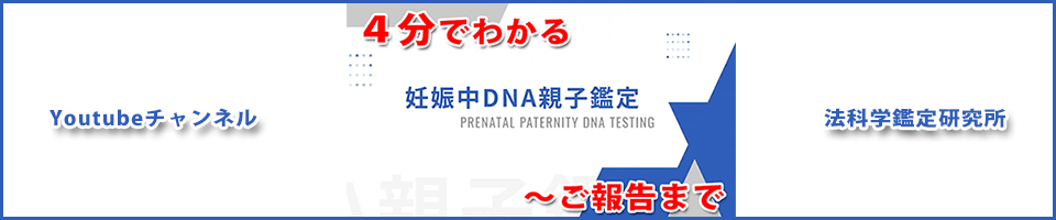 妊娠中（出生前）DNA親子鑑定