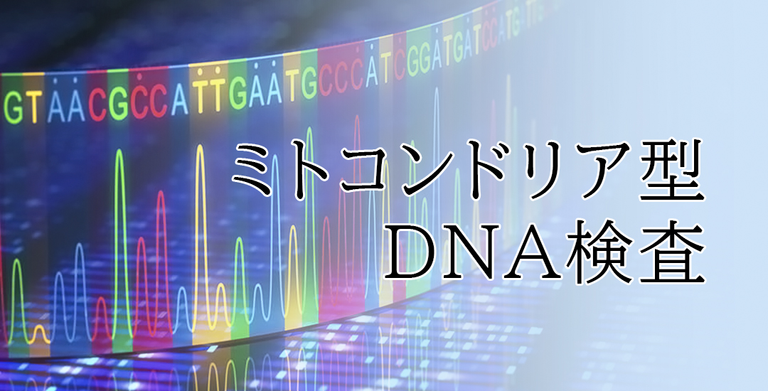ミトコンドリア型DNA検査