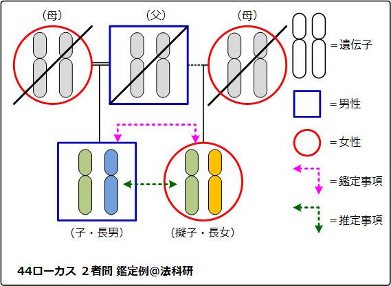 44ローカス 2者間鑑定