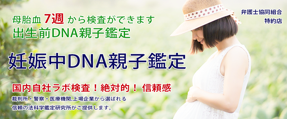 妊娠中DNA親子鑑定