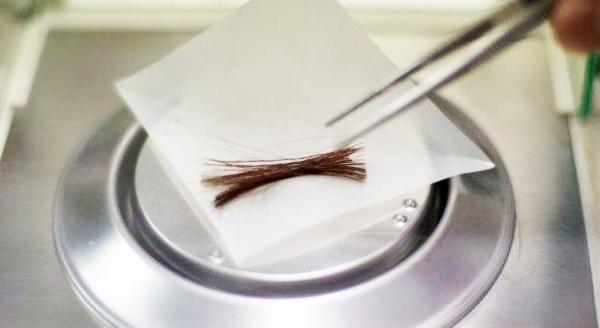 法人向け 毛髪薬物検査｜立会採取・報告書対応（社内確認/鑑定書）