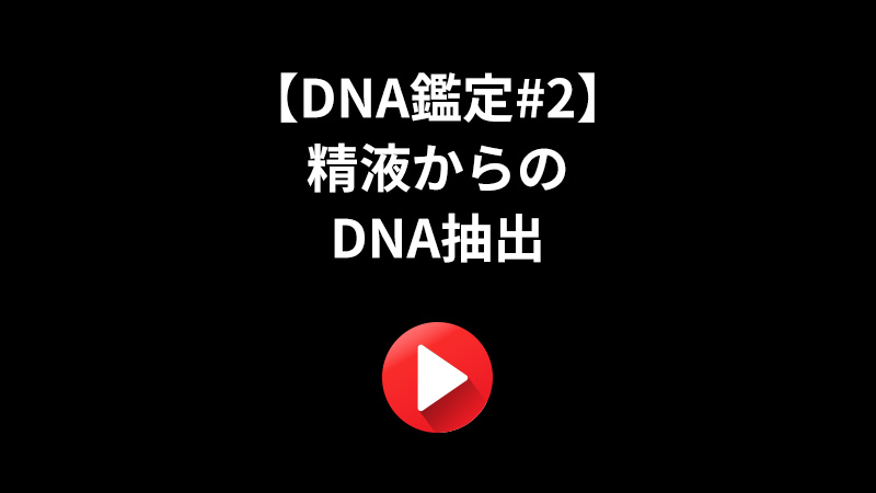 【精液からのDNA抽出#2】 [Sperm DNA Extraction]