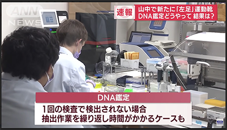 【取材】『ANNニュース テレビ朝日』DNA型鑑定について