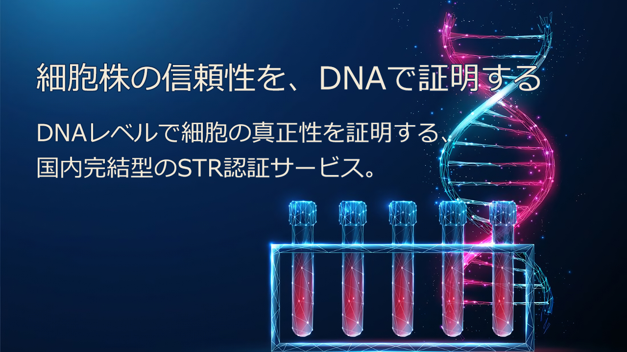 細胞株の信頼性を、DNAで証明する DNAレベルで細胞の真正性を証明する、国内完結型のSTR認証サービス。